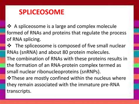 RNA SPLICING | PPT | Free Download