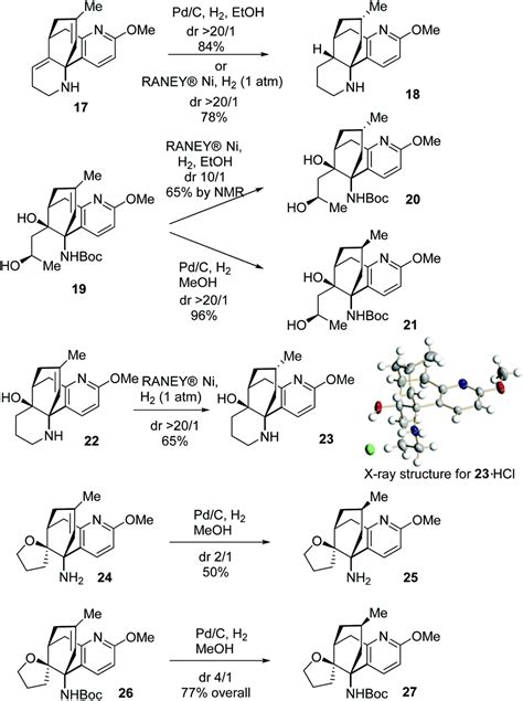 Asymmetric total synthesis of Lycopodium alkaloids α obscurine N