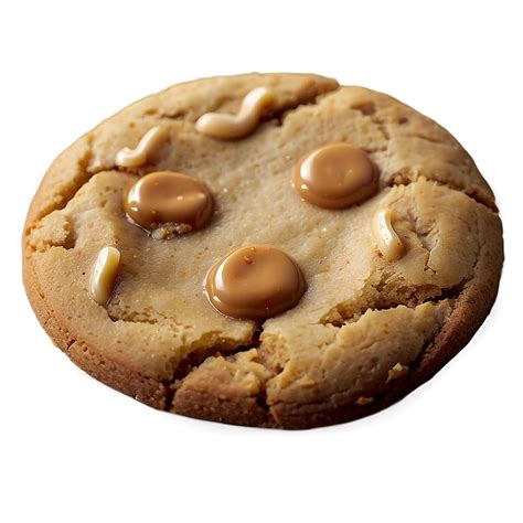 Download Salted Caramel Cookies Png 05232024