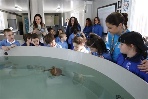 El Acuario de Gijón estrena su centro de recuperación de animales