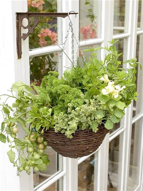 10 Diy Hanging Basket Vertical Garden