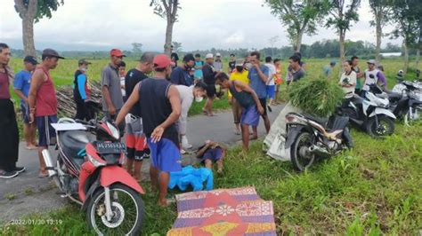 Mencari Rumput Paidi Tewas Tergeletak Di Pinggir Sawah