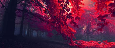 Red Anime Landscape Wallpapers - Wallpaper Cave