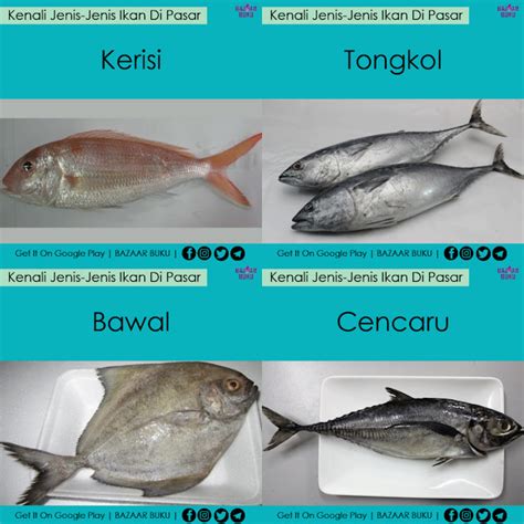 Jenis Jenis Ikan Di Pasar