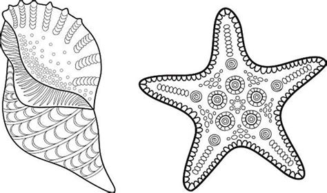 Desenhos De Estrela Do Mar Para Imprimir E Colorir Pintar