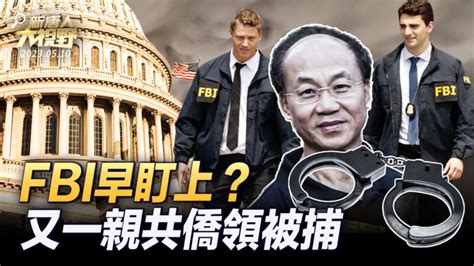 【大視野 冷戰觀察室】fbi早盯上？又一親共僑領被捕 黑名單 海外華人 新唐人电视台