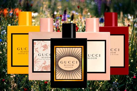 5 Best Gucci Bloom Perfumes for 2024: From Day to Night | Viora London