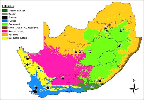 South African Biomes Map