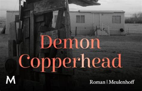 Tzum Recensie Barbara Kingsolver Demon Copperhead Tzum