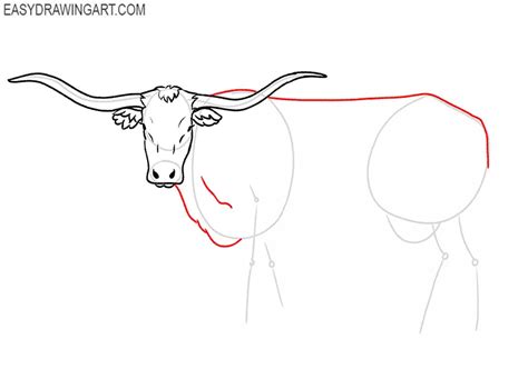 How to Draw a Longhorn - Easy Drawing Art