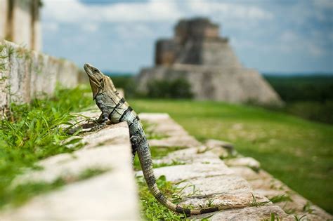 Excursions Partir De Tulum Au Mexique Experiencetransat