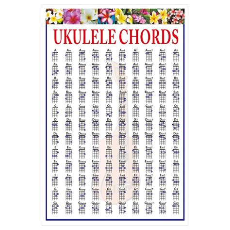 Ukelele de cuerda para principiantes tabla de prá Grandado