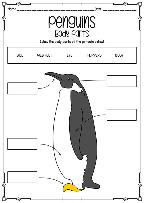 10 Best Images of Penguin Preschool Worksheets - Penguin Parts, Penguin