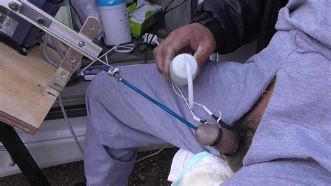 Urethral Fucking Machine Ver Gay Porn XHamster