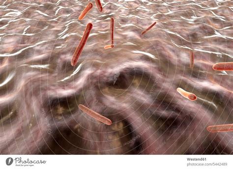 D Rendered Illustration Visualisation Of Tuberculosis Bacteria In An