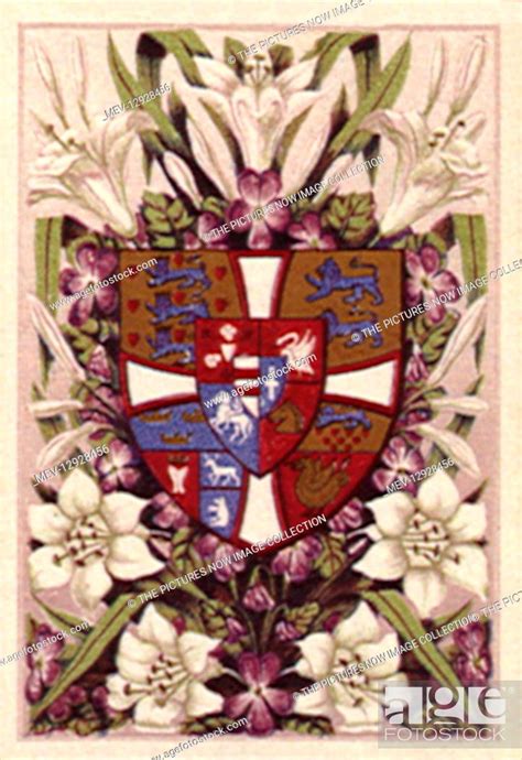 Coat of Arms with Flowers, Stock Photo, Picture And Rights Managed Image. Pic. MEV-12928456 ...