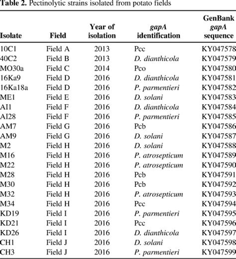 A Gapa Pcr Sequencing Assay For Identifying The Dickeya And Pectobacterium Potato Pathogens