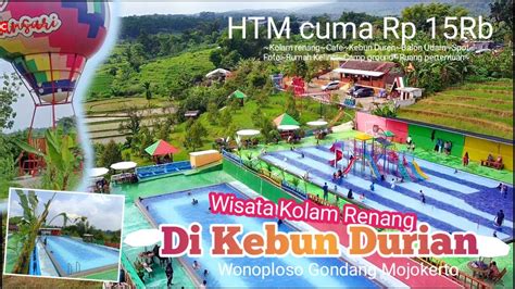 Wisata Kebun Pandansari Gondang Mojokerto Terbaru YouTube