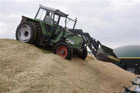 Maisernte für Biogas