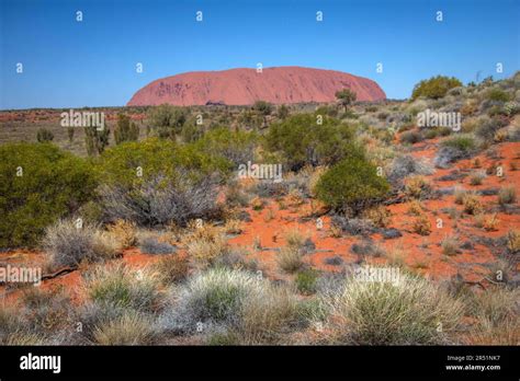 aboriginal rock art uluru  res stock photography  images alamy