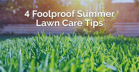 [infographic] Summer Lawn Care Tips How To Keep Yard Looking Nice All Summer