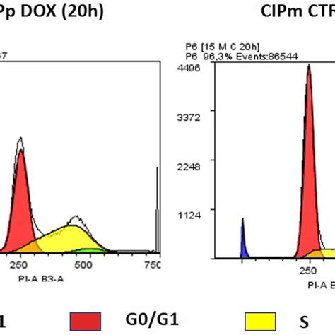 Dean Jett Fox Univariate Cell Cycle Analysis By Flow Cytometry