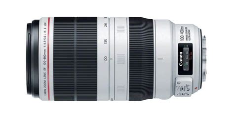 Which Canon Lenses For Wildlife Photography Do Experts Use?