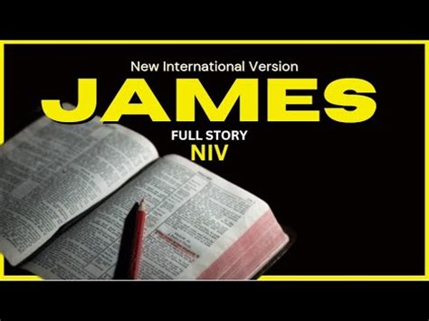 Niv James New International Version High Quality Audiobible With