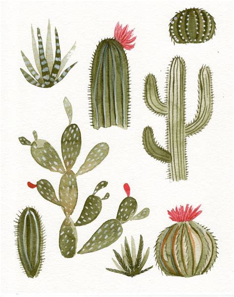 Cactus Print Cactus Wall Art Cactus Watercolor Painting Cactus