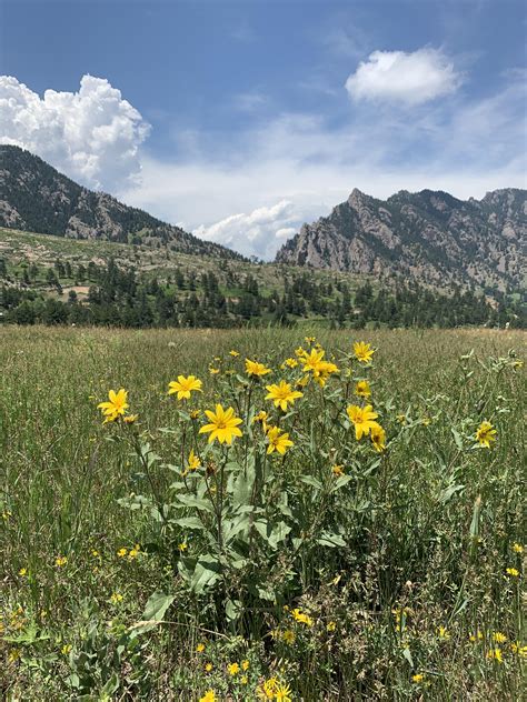 Beautiful day for a hike!!!! Eldorado Springs, CO : r/hiking