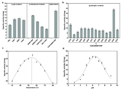 Combinatorial Mutagenesis Of Cjadc And Characterization Of The Mutants