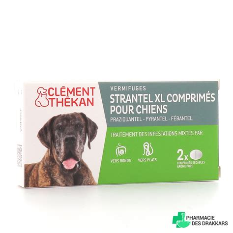 Vermifuge pour chien Strantel Clément Thékan