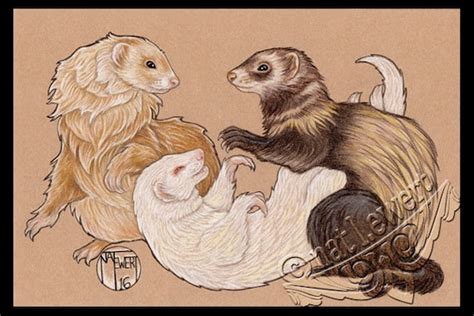 Animal Art Print Ferret Art Animal Illustration Ferret Print | Etsy