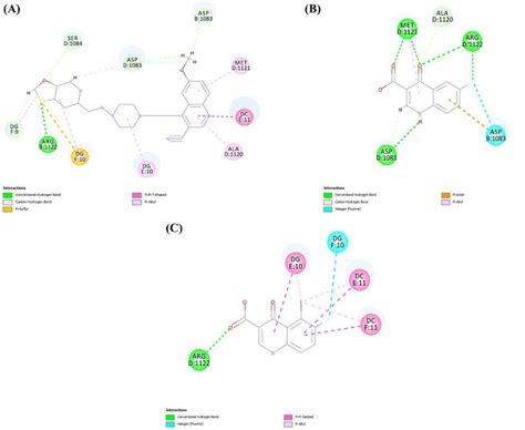 Graphical Representation Of The 2D Protein Ligand Interactions Of A