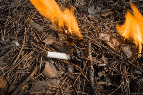 Cigarette Smoldering On Ground Royalty Free Photos And Stock Images