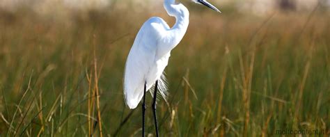 Risolvere Il Codice Errore Stork Ecco Come Fare Molto Conent