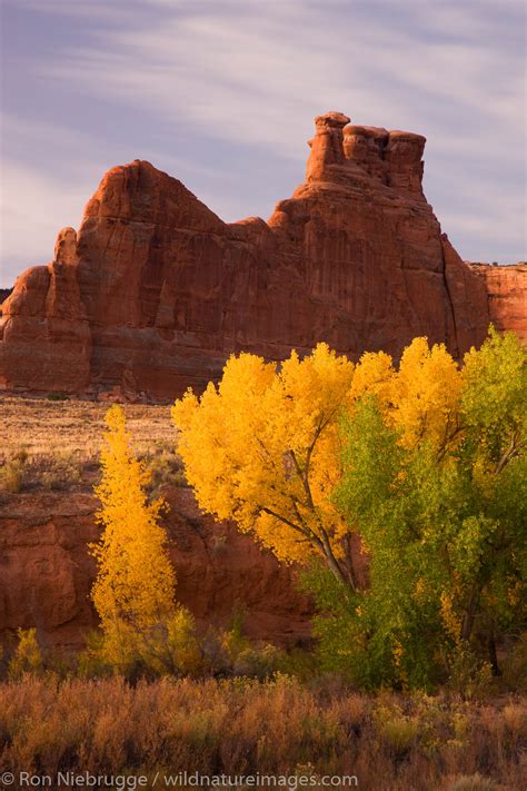 Arches National Park, Moab | Photos by Ron Niebrugge