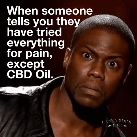 100 Best Cbd Memes Cannabidiol Life