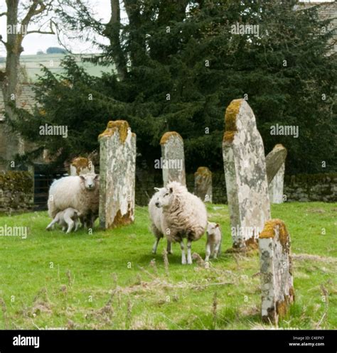 Grave Lamb Hi Res Stock Photography And Images Alamy