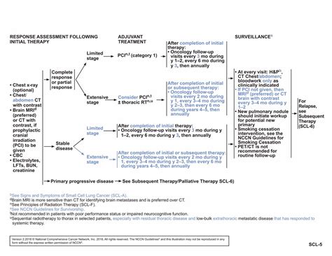 Nccn Guidelines Insights Small Cell Lung Cancer Version 22018 In