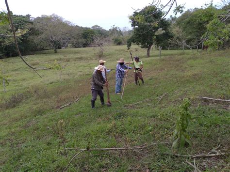 Sedarpa Fomento A La Ganader A Sustentable Sayula De Alem Flickr