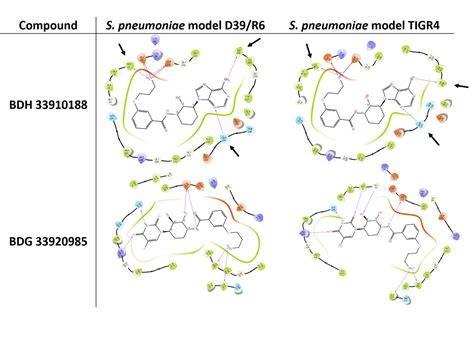 Frontiers In Vitro And In Vivo Evaluation Of In Silico Predicted