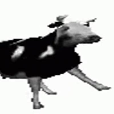 Dancing Polish Cow (@dancinpolishcow) | Twitter