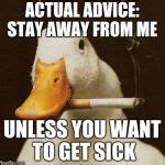 Smoking Duck Meme Generator Imgflip