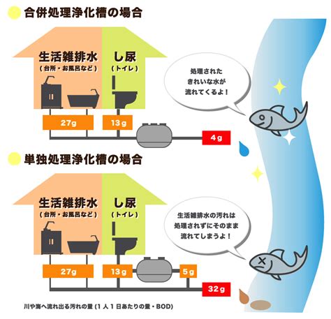 浄化槽 入れ替え 費用 Canvassuppo