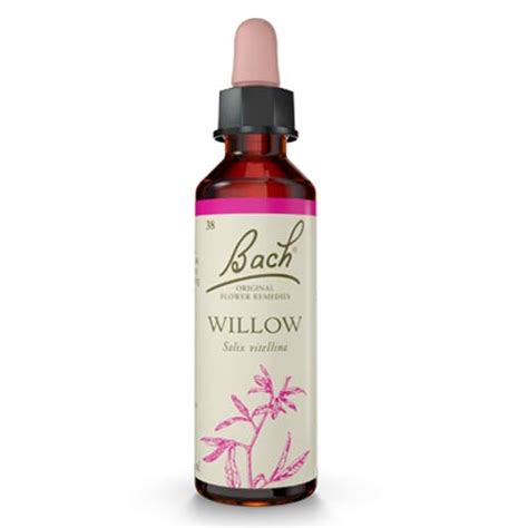 Bach Flower Willow Remedy Ml Health Matters