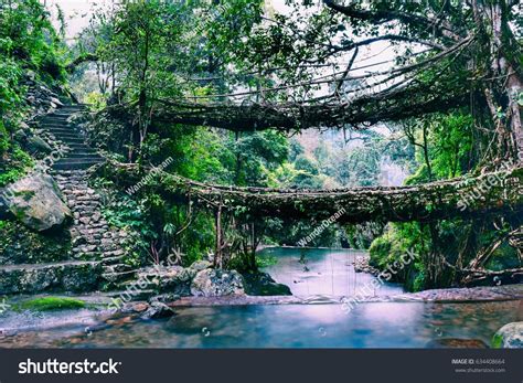 mawlynnong village images stock  vectors shutterstock