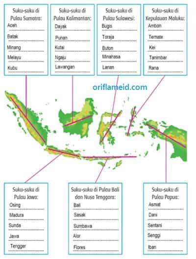 Suku-suku di Pulau Sumatera Kalimantan Sulawesi Jawa Bali dan Papua