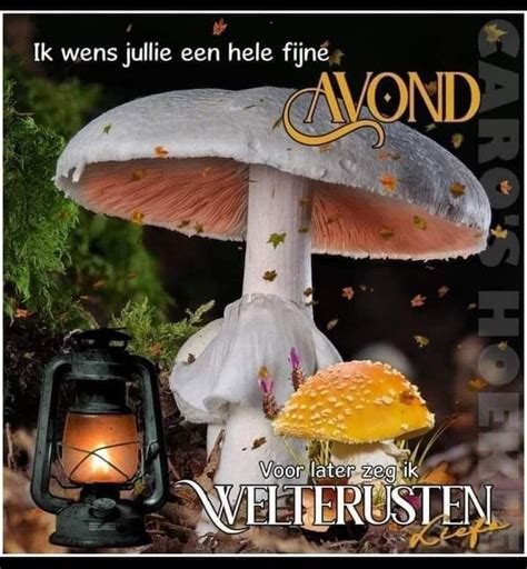 Pin Van Gerda Aangeveld Op Plaatjes Om Te Bewaren Goede Nacht Slaap