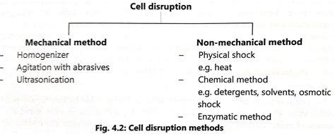 Downstream Processing Biology Ease